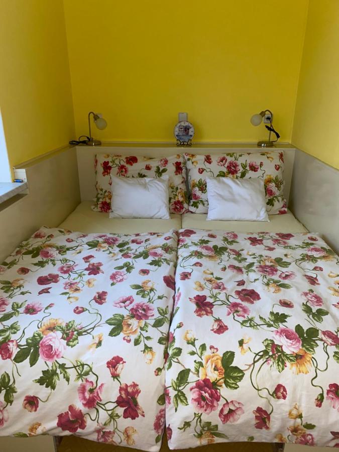 Rodinny Apartman 3+1 Horni Mesto Extérieur photo